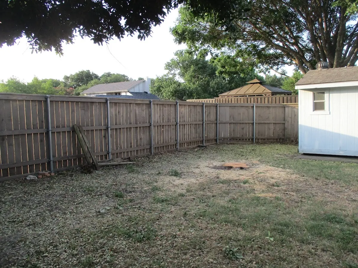 Cleared yard after professional tree removal in Marble